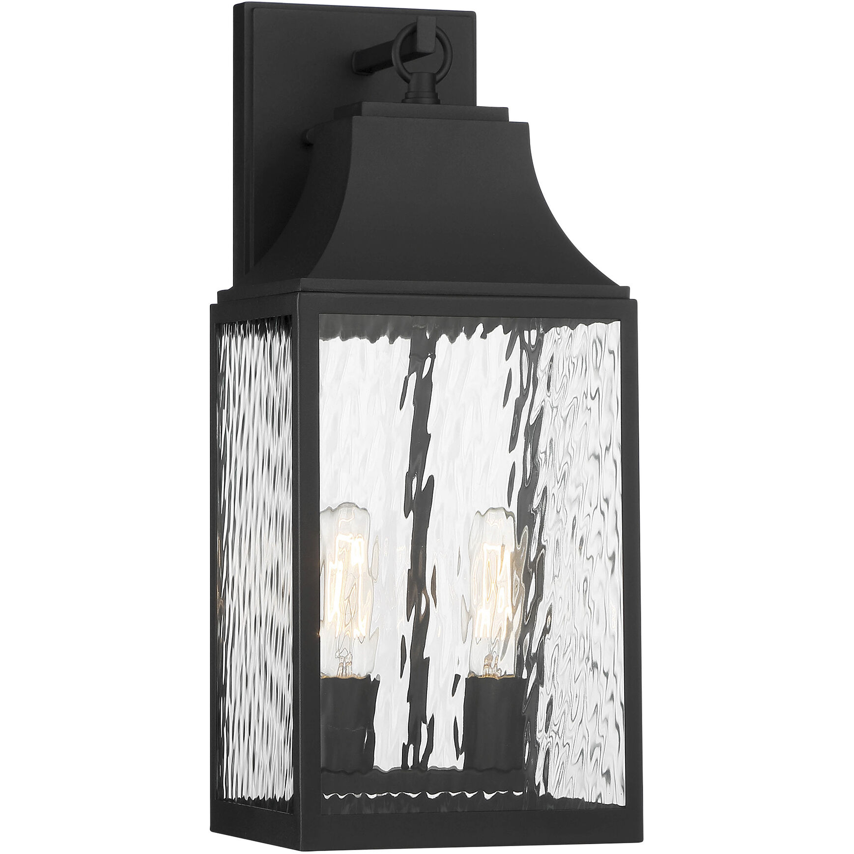 Blueberry Trail 2 Light 20 inch Black Outdoor Wall Lantern